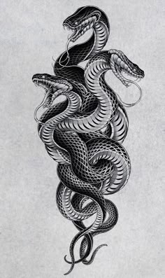 a black and white drawing of a snake