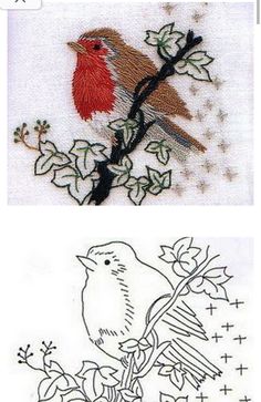 two pictures of birds sitting on top of a tree branch with leaves and flowers around them