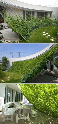 four different views of a house with green plants growing on the outside and in the inside