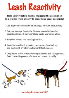 a poster with an image of a dog and its owner's instructions for leashing