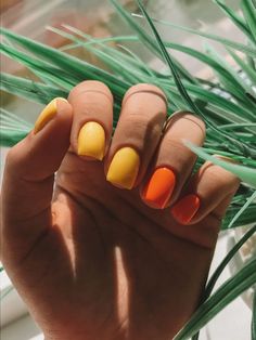 Bed Of Nails, Multicolored Nails, Beachy Nails, Gelish Nails, Vibrant Nails, Chic Nails, Mani Pedi, Perfect Nails, Nail Manicure