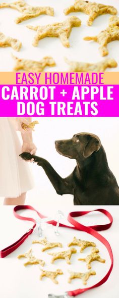 a dog is reaching out to eat some food with the words easy homemade carrot and apple dog treats