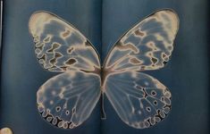 an open book with a drawing of a butterfly on it