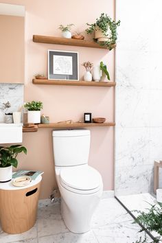 a white toilet sitting in a bathroom next to a wooden shelf filled with potted plants