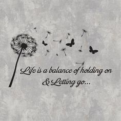 a dandelion with the words life is a balance of holding on and letting go