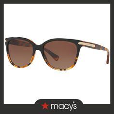 in stock Coach Brown Tinted Sunglasses, Classic Brown Coach Sunglasses, Face Tone, Brown Gradient, Logo Collection, Preschool Outfits, Mens Cologne, Mens Gift Sets, Surf Shop