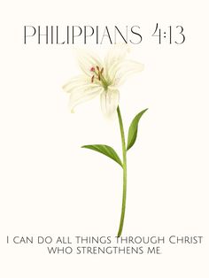 a white flower with the words, i can do all things through christ who straightens me