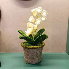 a potted plant with white flowers sitting on a green table next to a clock