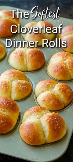 Pillow-soft and buttery Cloverleaf Rolls made with milk dough which has an unbelievably soft and cloud-like texture. You’ll love the delicious layers when you pull the 3 'clover leaves' apart. Clover Dinner Rolls Recipe, Homemade Cloverleaf Rolls, Soft And Buttery Milk Bread, Pillow Soft Dinner Rolls, Thanksgiving Bread Rolls Recipe, Clover Leaf Rolls Pioneer Woman, Dinner Rolls Christmas, Throwed Rolls Recipe, Best Bread For Thanksgiving