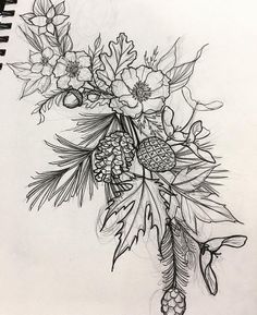 a pencil drawing of flowers and pine cones