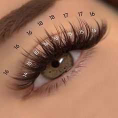 Wispy Colored Lash Extensions, Lashes Wispy Volume, D Curl Wispy Lashes, Volume Wispy Eyelash Extensions, Wispy Lash Map, Eyelash Mapping, Lash Map