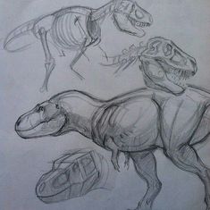 some drawings of different dinosaurs on paper