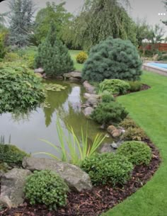 a small pond in the middle of a lush green yard with rocks and plants around it