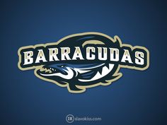 the barracuas logo on a blue background