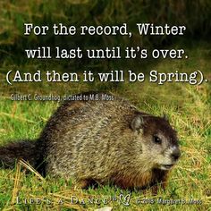 an animal that is standing in the grass with a quote about winter will last until it's over and then it will be spring