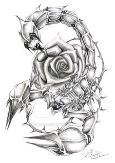 a drawing of a rose on a white background