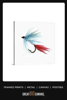 a red and blue fly on a white background with the words frame prints metal canvass