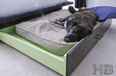 a large dog laying on top of a bed with pillows in it's drawer