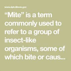 "Mite" is a term commonly used to refer to a group of insect-like organisms, some of which bite or cause irritation to humans. While some mites parasitize animals, including man, others are scavengers, some feed on plants, and many prey on insects and other arthropods. In fact, there are nearly as many different types of mites as there are insects. Like their relatives, the Stomach Problems, Arthropods, Hormone Health, Hair Removal Cream, Insects, Human