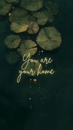 the words you are your home written in neon lights on top of lily pad leaves