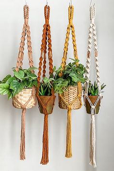 several planters with plants in them hanging from hooks on the wall, one is made out of rope