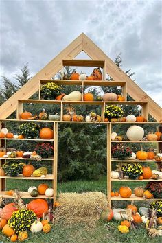 a wooden structure filled with pumpkins and gourds