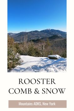 a book cover with the words rooster, comb and snow in front of snowy mountains