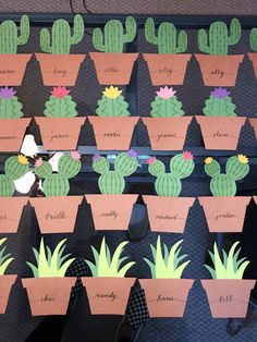 a bunch of cactus plants with name tags attached to them on a bulletin board in a classroom