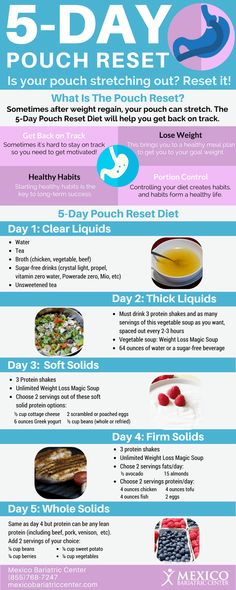 5 Day Pouch Reset, Pouch Reset, Bariatric Friendly Recipes, Liquid Diet, Best Diet Plan