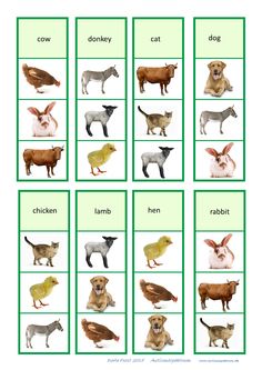 animals and their names are shown in green squares with white letters on the bottom right side