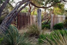 a wooden fence surrounded by tall grass and trees