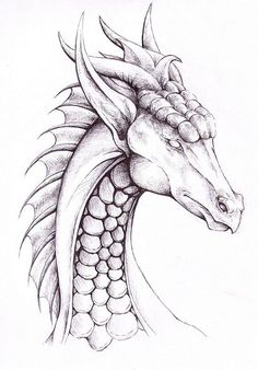 a drawing of a dragon's head with long, curved tail and sharp teeth