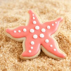 a pink and white starfish cookie sitting in the sand