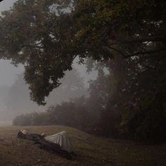 a person laying on the ground under a tree with their head down in the fog