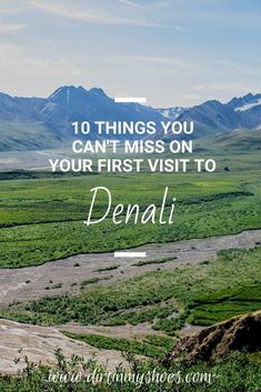 a valley with mountains in the background and text overlay that reads 10 things you can't miss on your first visit to denali