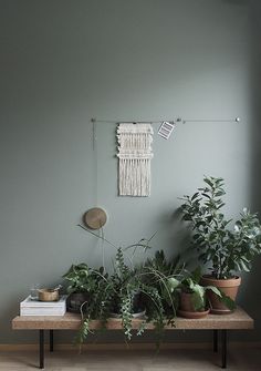 some plants are sitting on a table in front of a wall with a dream catcher hanging above it