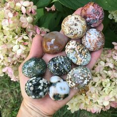 Fish Eyes, Sea Jasper, Orbicular Jasper, Rare Fish, Small Palms, Palm Stones, Fish Eye, Jasper Jewelry, Chakra Healing Crystals