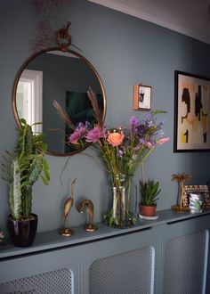 some plants are sitting on a shelf in front of a mirror and radiator