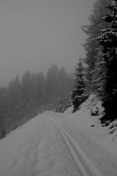 a snow covered road with pine trees on both sides and foggy sky in the background