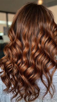 fall hair colors 2024 copper Mahogany Curls, Hair Color Fall, Trendy Fall Hair Color