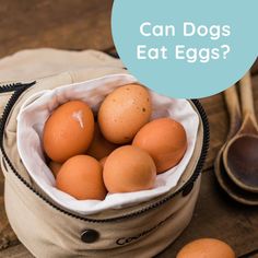 a bag filled with eggs sitting on top of a wooden table