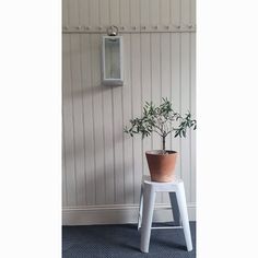 a potted plant sitting on top of a white stool in front of a wall