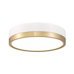 a white and gold ceiling light