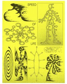 an image of different types of plants and trees in black and yellow ink on paper