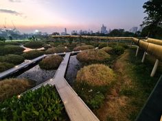 a view of the city skyline at dusk from an elevated garden area with benches and water features