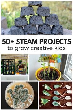 the cover of 50 + steam projects to grow creative kids's crafts and activities