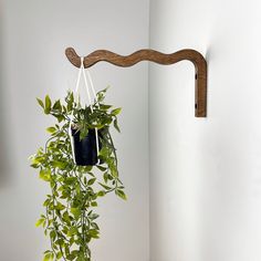 a potted plant hanging from a wooden hook