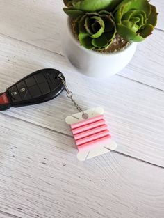 a car key chain attached to a flower pot