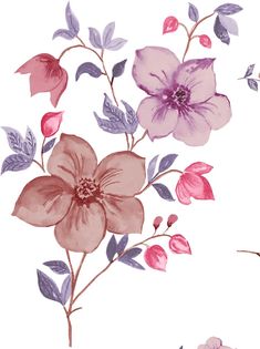 watercolor flowers and leaves on a white background with pink, purple and red colors