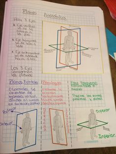 an open notebook with diagrams on the inside and outside of it, showing different body shapes